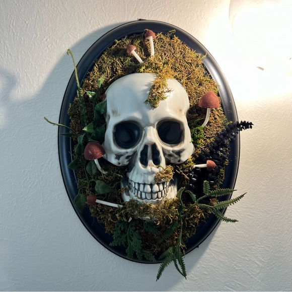 NWT - 14" Hanging Framed Skull Halloween Decorative Prop - Hyde & EEK! Boutique™ - Picture 2 of 9